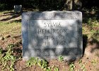 Sylvia Hellikson